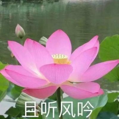 安博体育·(中国)官方网站下载手机版