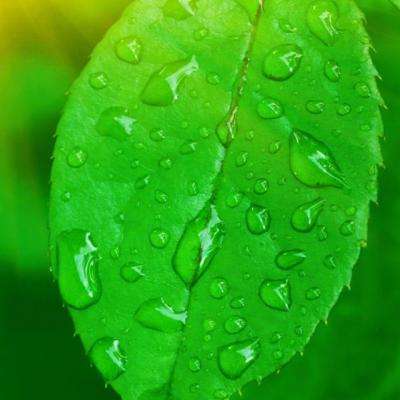 快彩乐首页手机app下载